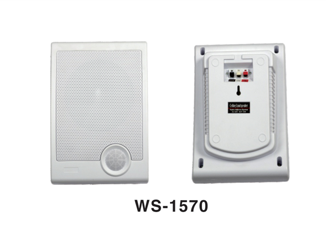 WS-1570室内壁挂音箱